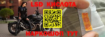 прущие крисы Будённовск