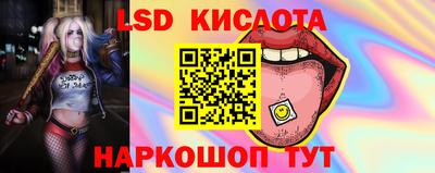 прущие крисы Будённовск