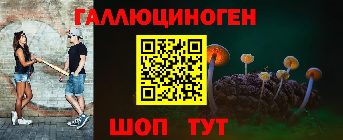 Псилоцибиновые грибы мицелий Кыштым
